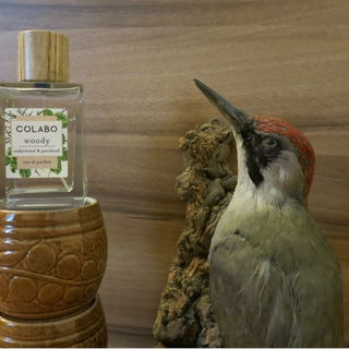 Woody & Woodpecker ...