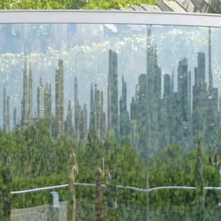 Spiegelung
