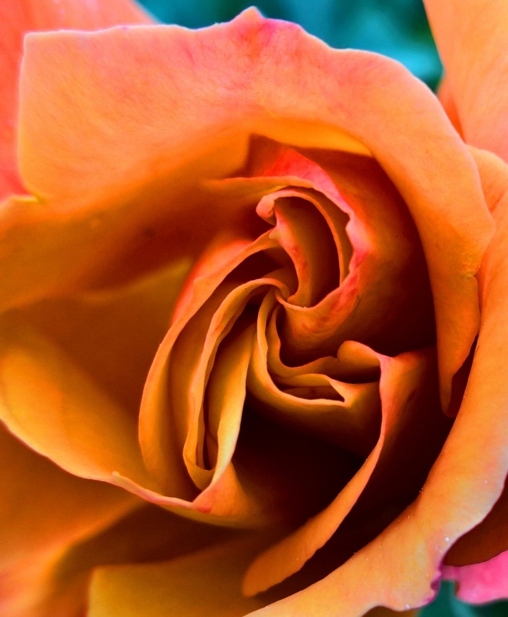 25. April