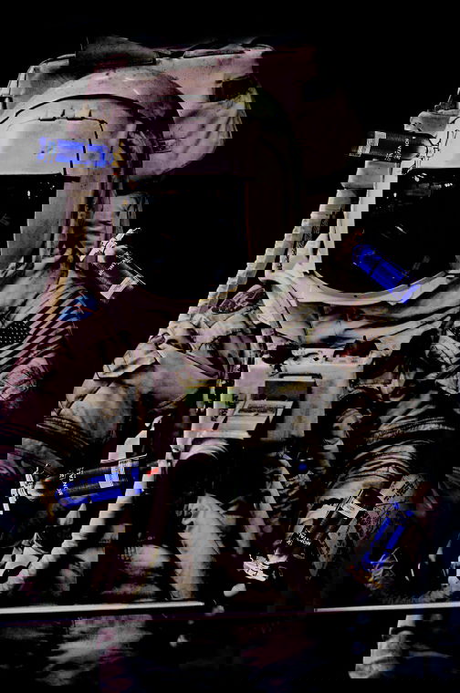 FLY OF MONTALE LEGACY