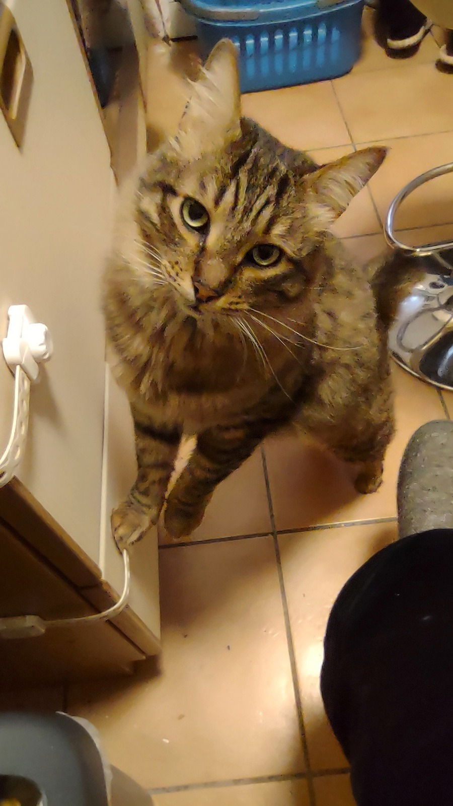 man beachte die kindersicherung an der schublade mit dem fressi...