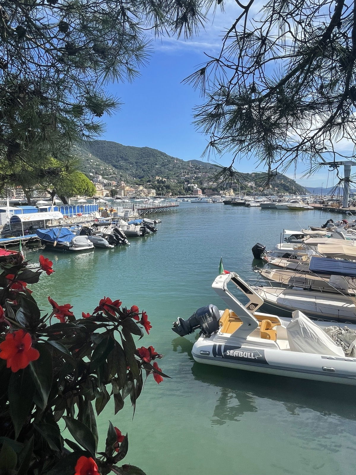 Rapallo ☀️
