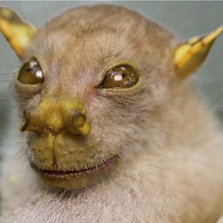 Was??!! Ihr seht keine ...