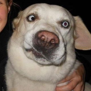 Ach...meine Dritten sit...