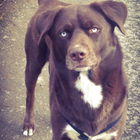 Unser geliebter Spike....
