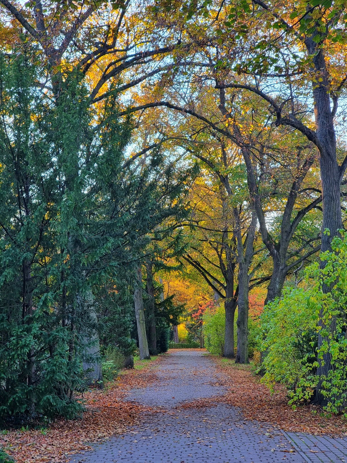 Der Herbst ist da. :)