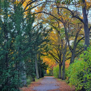 Der Herbst ist da. :)...