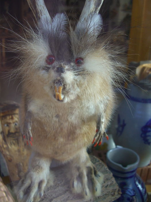 Wolpertinger