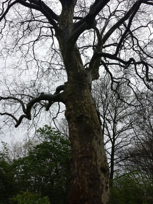 [...] Es dämmern im Bücherständer die Bände in Gold und Braun; und du denkst an durchfahrene Länder, an Bilder, an die Gewänder wiederverlorener Fraun.  Und da weißt du auf einmal: das war es. Du erhebst dich, und vor dir steht eines vergangenen Jahres An
