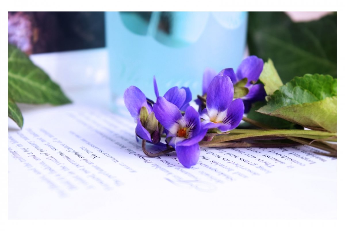 Lovely scented spring!