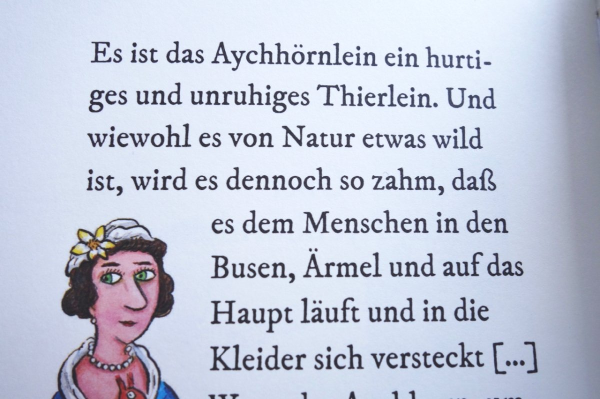 Credit: Über das Halten von Eichhörnchen - Ein Ratgeber / Axel Scheffler. Hier: (Gesner, Conrad) Allgemeines Thier-Buch, Frankfurt/M. 1669