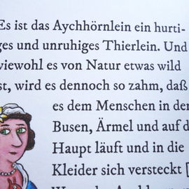 Credit: Über das Halte...