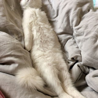 ... und wenn ich groß ...