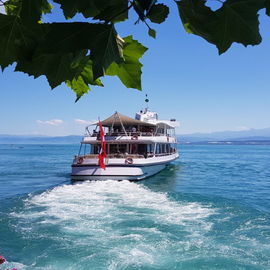 Bodensee/Meersburg, Som...