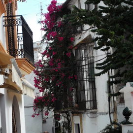 Gassen von Marbella