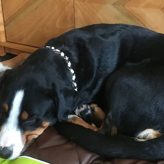 Das letzte Kind hat mei...