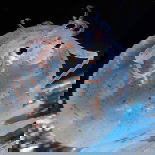 Unterwasser-Schweinchen...