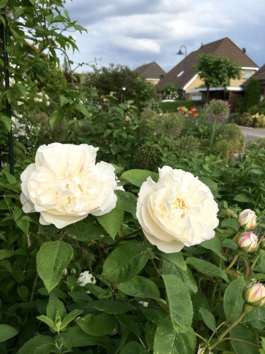 Winchester Cathedral