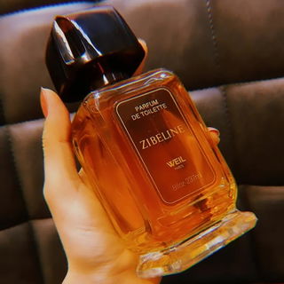 Ebayfund des Jahres, Ku...