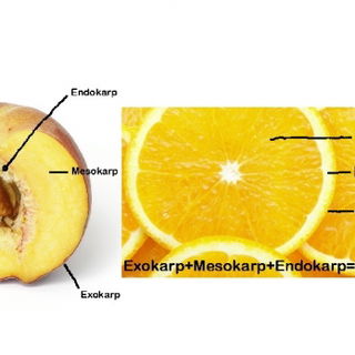 ein kleiner Ausflug in ...