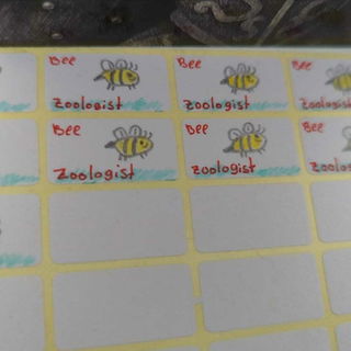 Bee-Sharing zum Frühli...