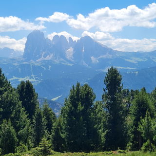 A.d. Raschötz bei St. ...