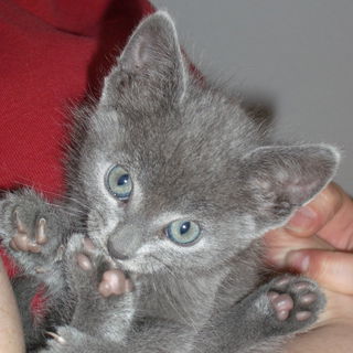 Liebe auf den ersten Bl...