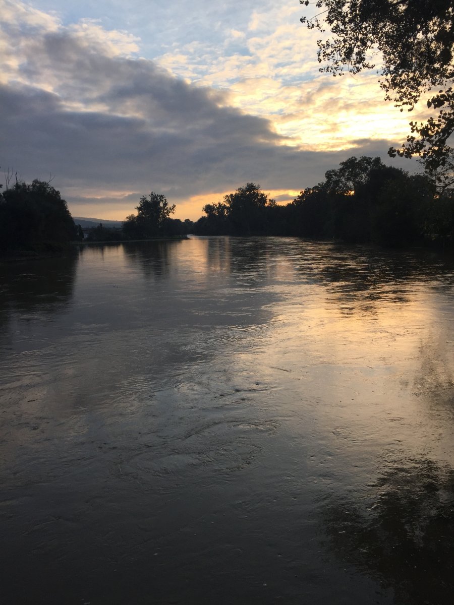 Nach dem Regen 15.10.