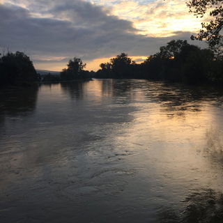 Nach dem Regen 15.10....