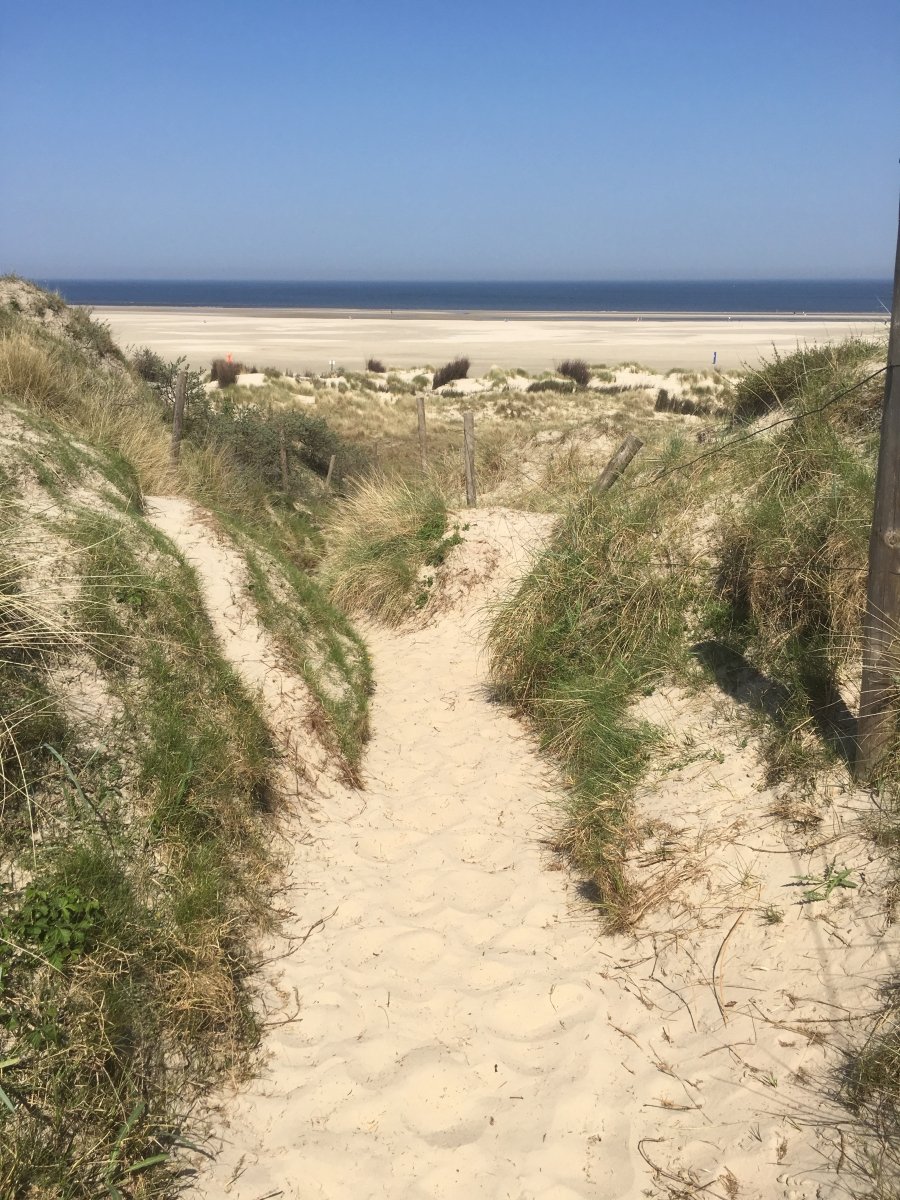 Traumhafter Ausblick auf Borkum 2018
