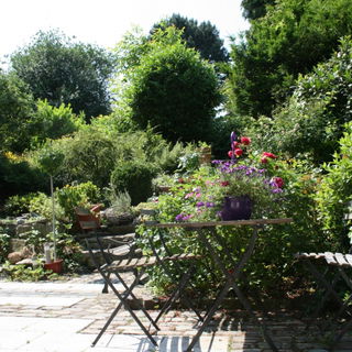 Ein Teil meines Gartens...