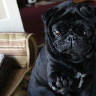 Gimme five!...............