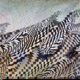 From my Zebras painting...