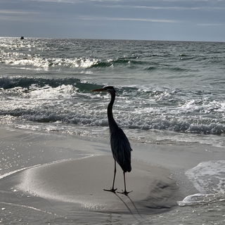 Navarre Beach, Florida,...