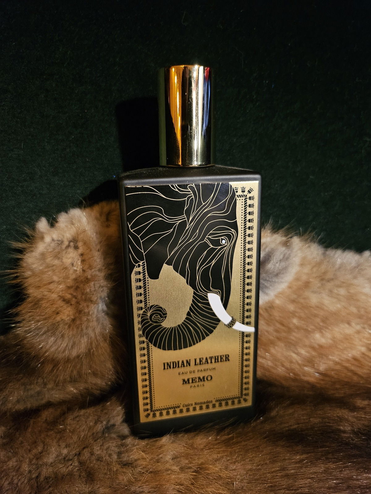 Memo Paris Indian Leather