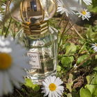 As spring comes to an e...