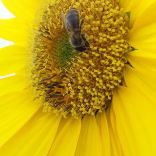 Dabei sind mir nur 2 So...