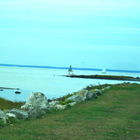 Sea Island Cotton