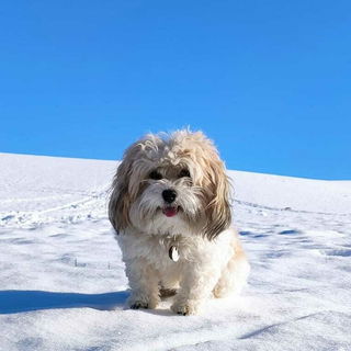 Schneeeee......