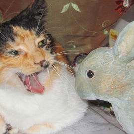 Lili und der Osterhase!...
