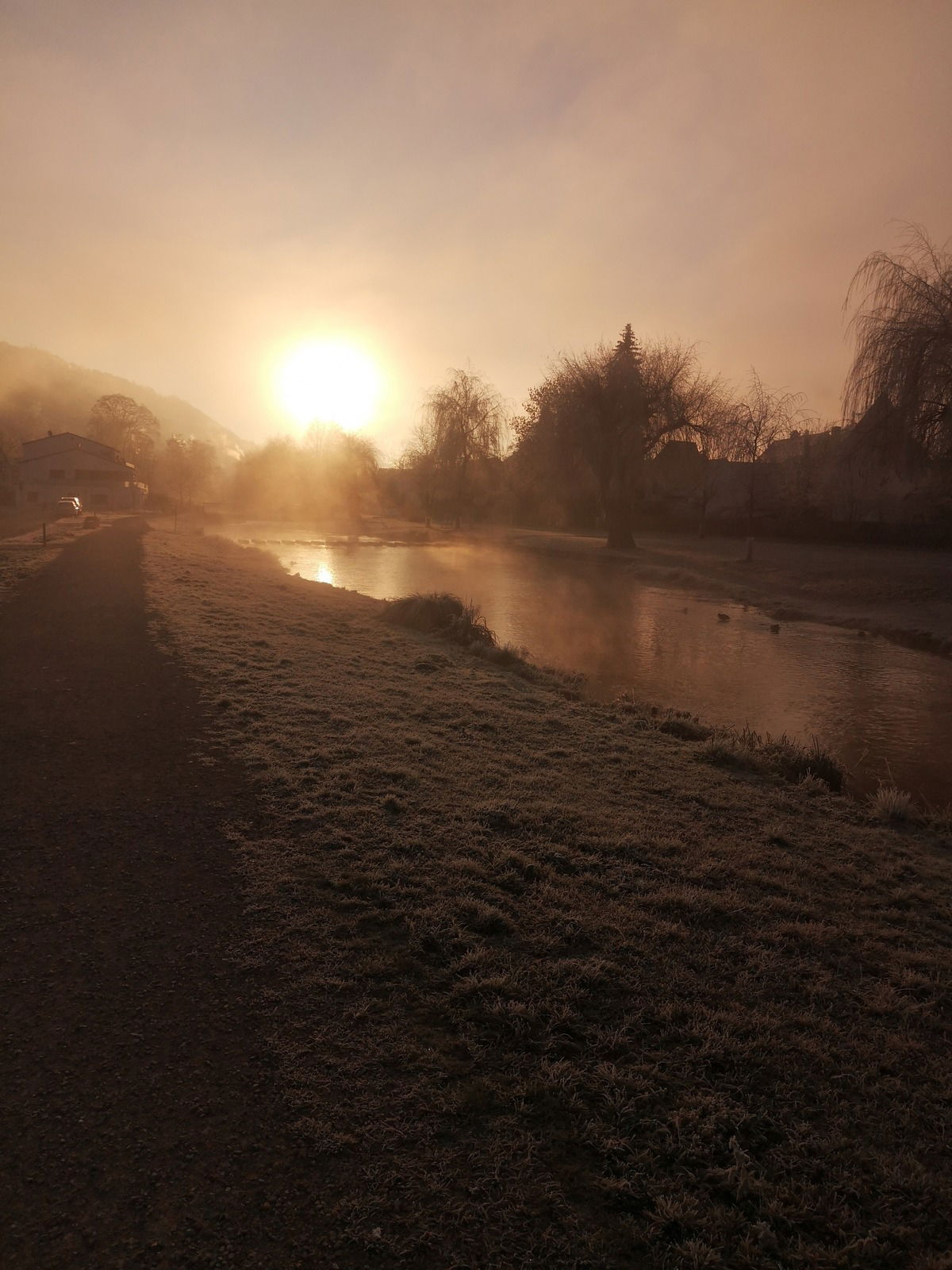 Goldener Dunst am Fluss