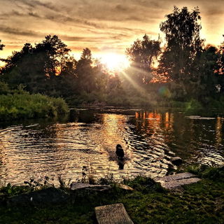 Abends am Fluss