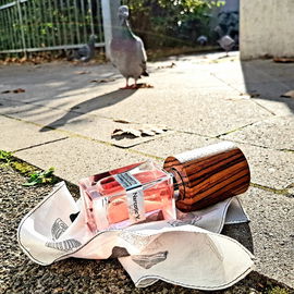 Nicht abgelehnt: Bordst...