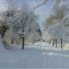 Unser Weihnachten 2010...