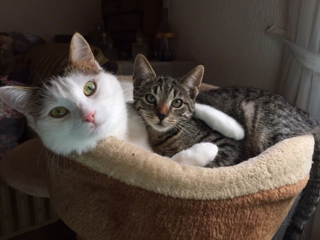 Emmi und Rosie - best friends