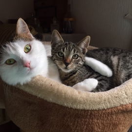 Emmi und Rosie - best f...