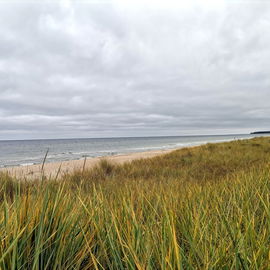 Maritime Herbstluft (Zi...