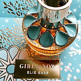 Elie Saab ♡Girl of no...