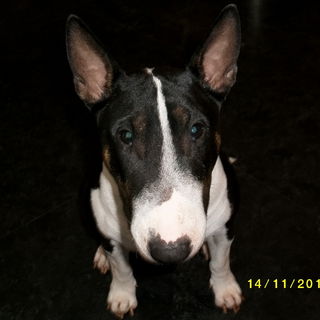 Maus! Du warst einzigar...