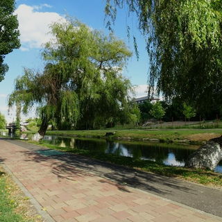 Rumänien .. Sannicolau...